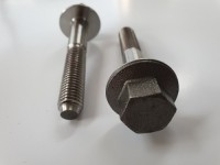 Straining Screw