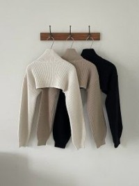 Chunky Knit Crop Turtleneck